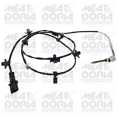 Sensor, exhaust gas temperature